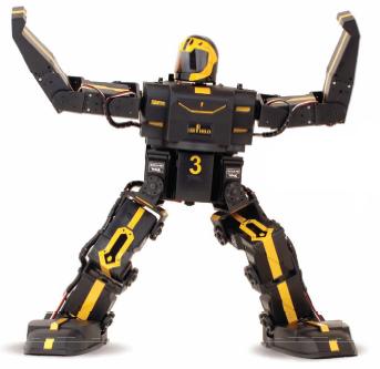 RoboPhilo Humanoid Robot Ready to Walk (EU) -      
